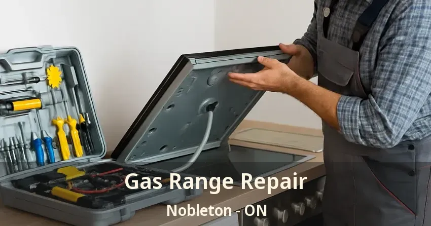 Gas Range Repair Nobleton - ON