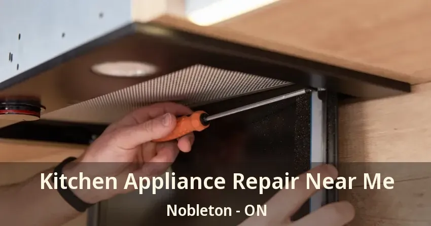Kitchen Appliance Repair Near Me Nobleton - ON