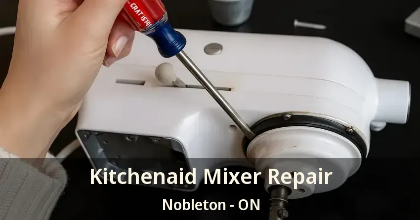 Kitchenaid Mixer Repair Nobleton - ON