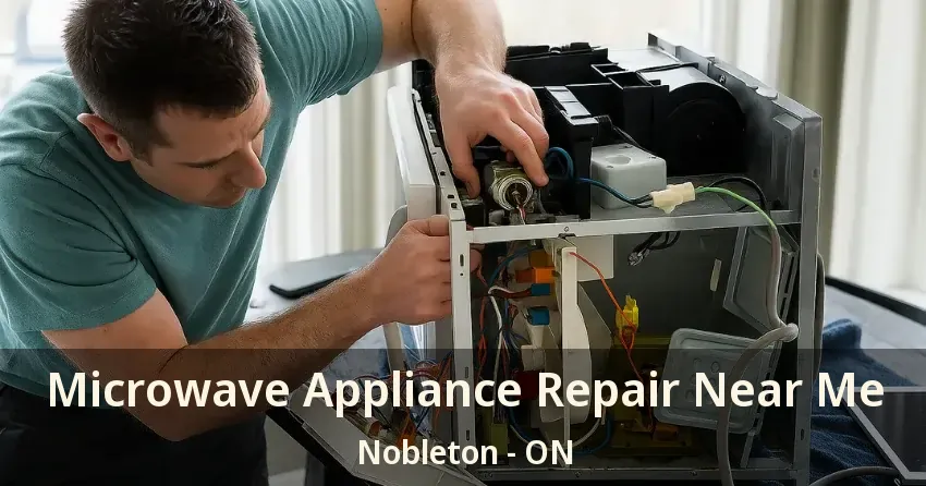 Microwave Appliance Repair Near Me Nobleton - ON