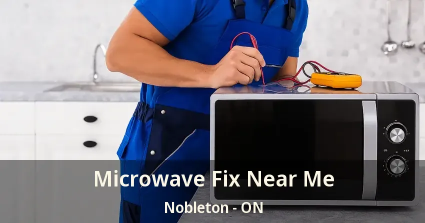Microwave Fix Near Me Nobleton - ON