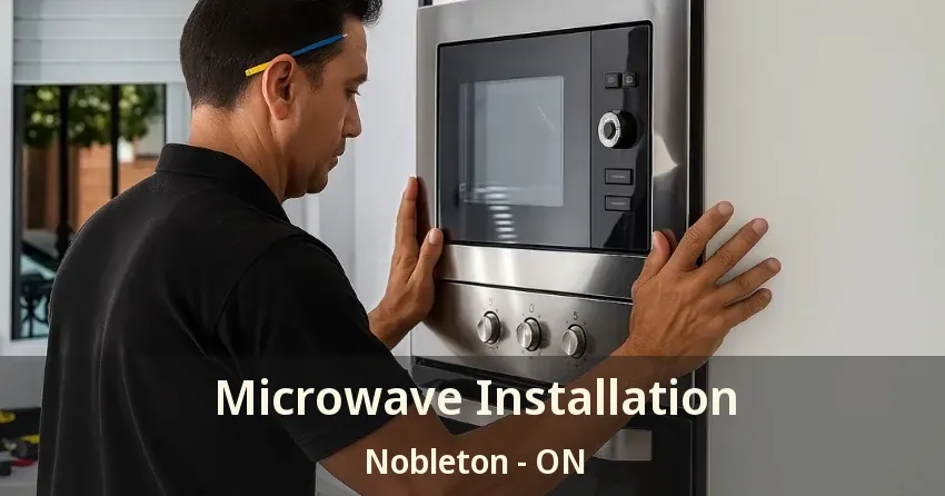 Microwave Installation Nobleton - ON