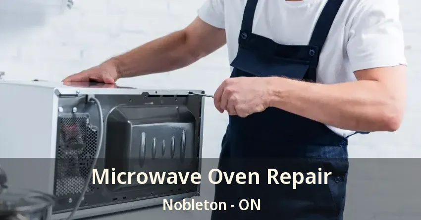 Microwave Oven Repair Nobleton - ON