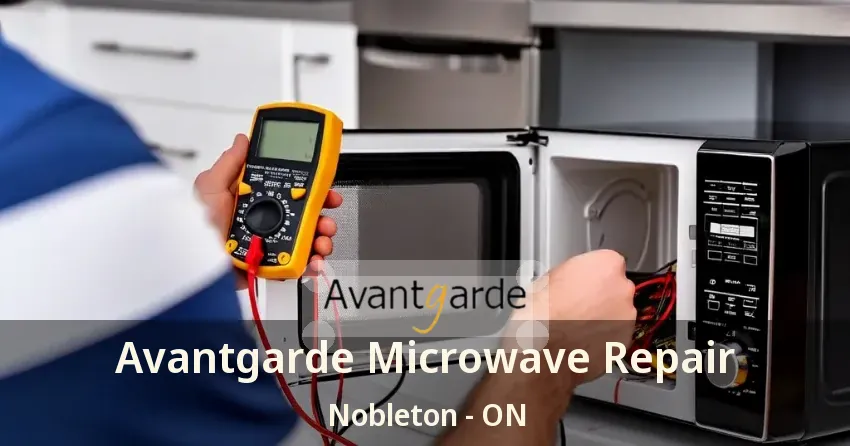 Avantgarde Microwave Repair Nobleton - ON