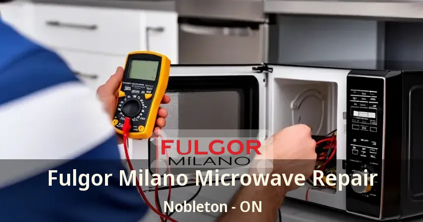 Fulgor Milano Microwave Repair Nobleton - ON
