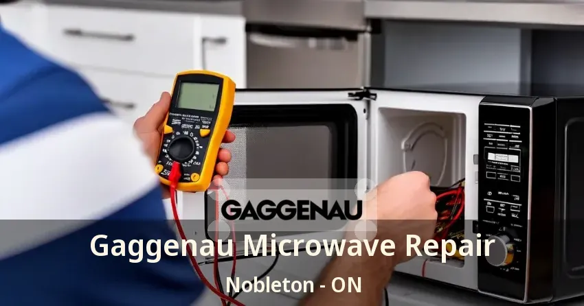 Gaggenau Microwave Repair Nobleton - ON