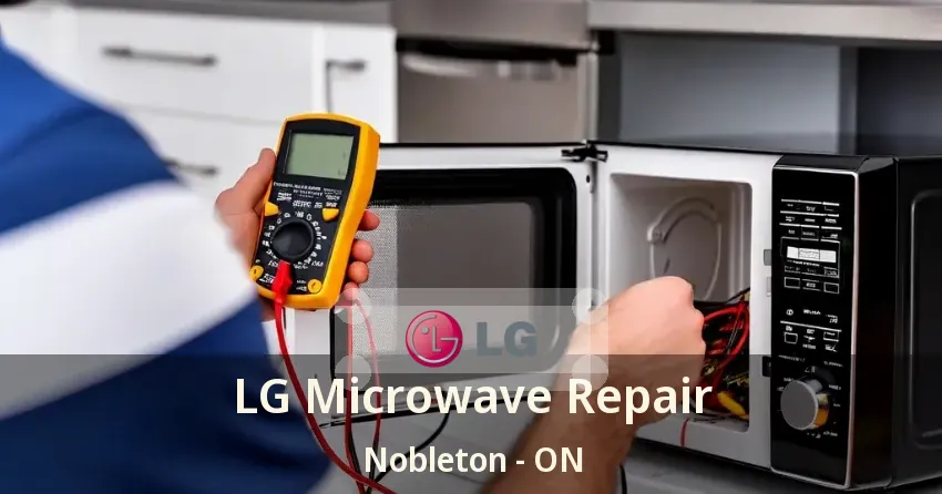 LG Microwave Repair Nobleton - ON