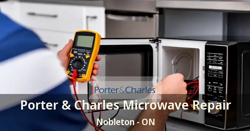 Porter & Charles Microwave Repair Nobleton - ON