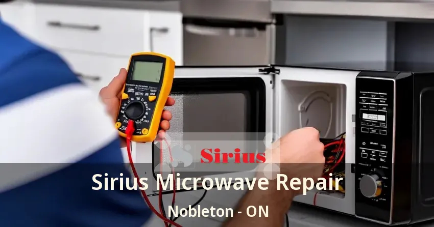 Sirius Microwave Repair Nobleton - ON