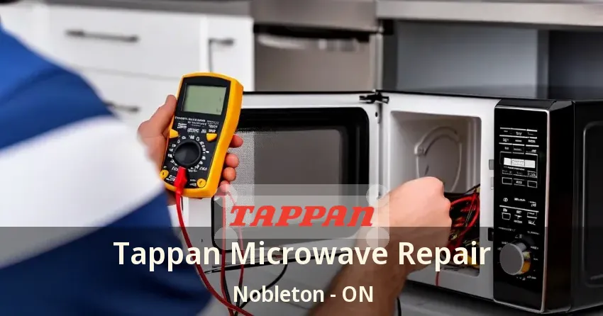 Tappan Microwave Repair Nobleton - ON