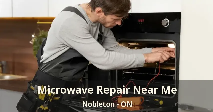 Microwave Repair Near Me Nobleton - ON