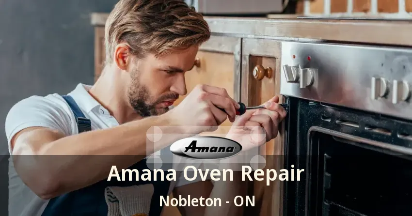 Amana Oven Repair Nobleton - ON