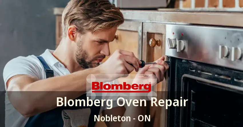 Blomberg Oven Repair Nobleton - ON