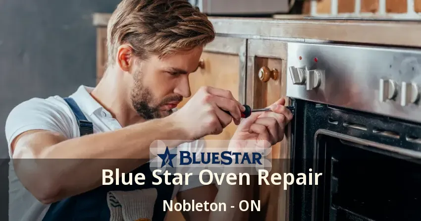 Blue Star Oven Repair Nobleton - ON