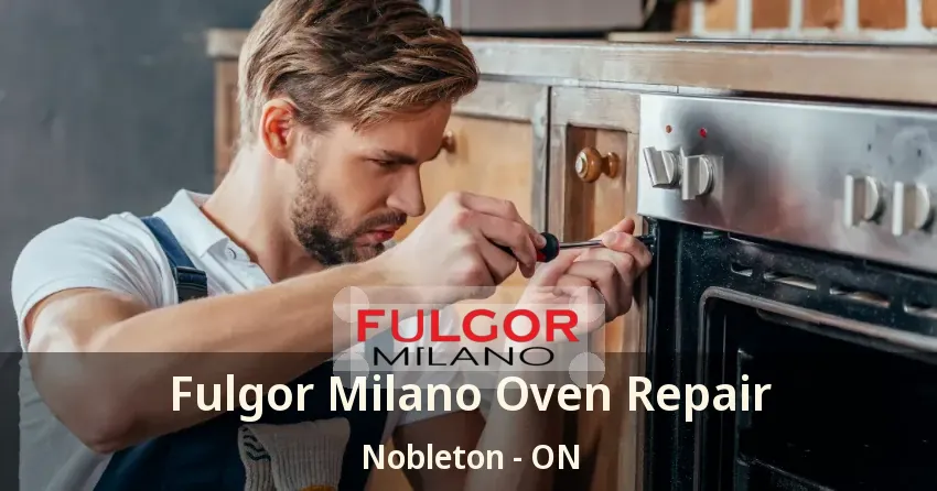 Fulgor Milano Oven Repair Nobleton - ON