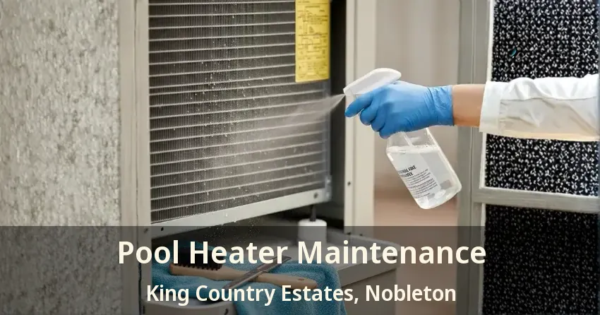 Pool Heater Maintenance King Country Estates, Nobleton - ON