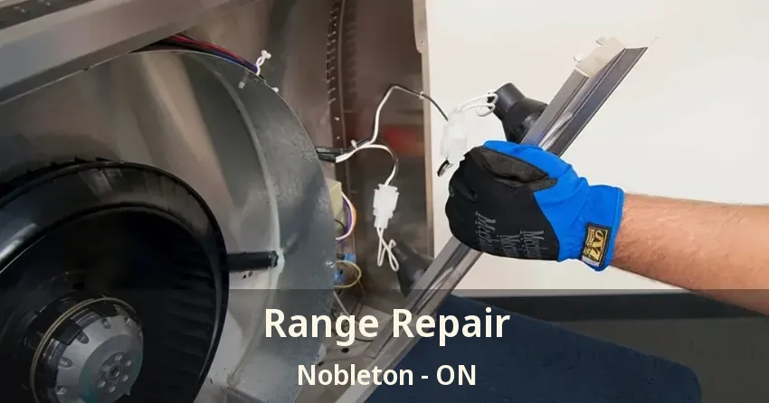 Range Repair Nobleton - ON
