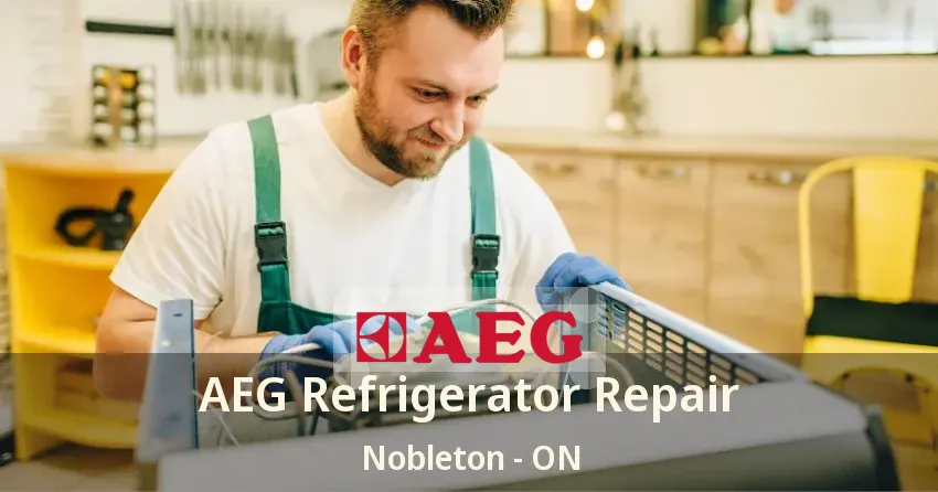 AEG Refrigerator Repair Nobleton - ON