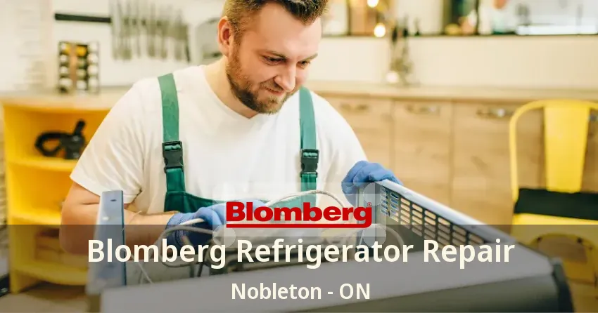 Blomberg Refrigerator Repair Nobleton - ON