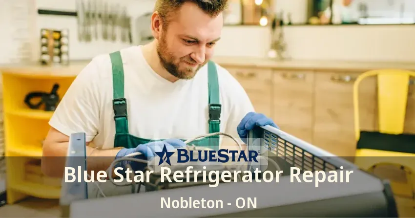 Blue Star Refrigerator Repair Nobleton - ON