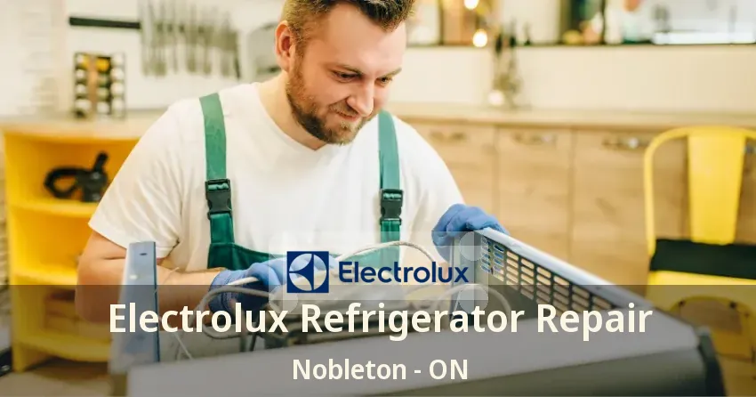 Electrolux Refrigerator Repair Nobleton - ON