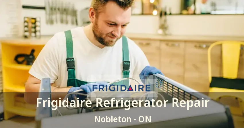 Frigidaire Refrigerator Repair Nobleton - ON
