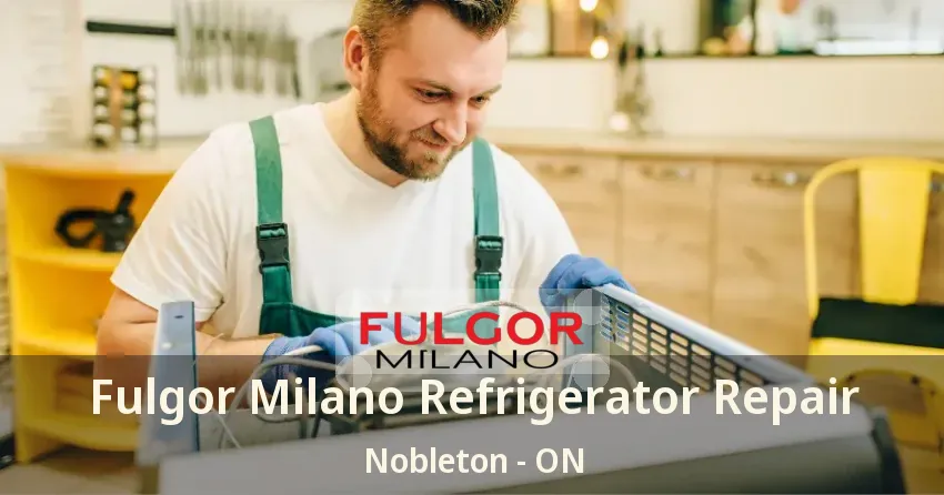 Fulgor Milano Refrigerator Repair Nobleton - ON
