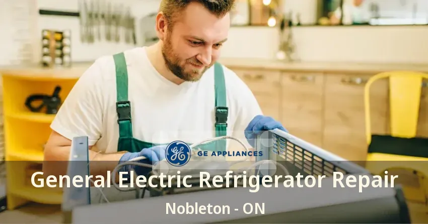 General Electric Refrigerator Repair Nobleton - ON