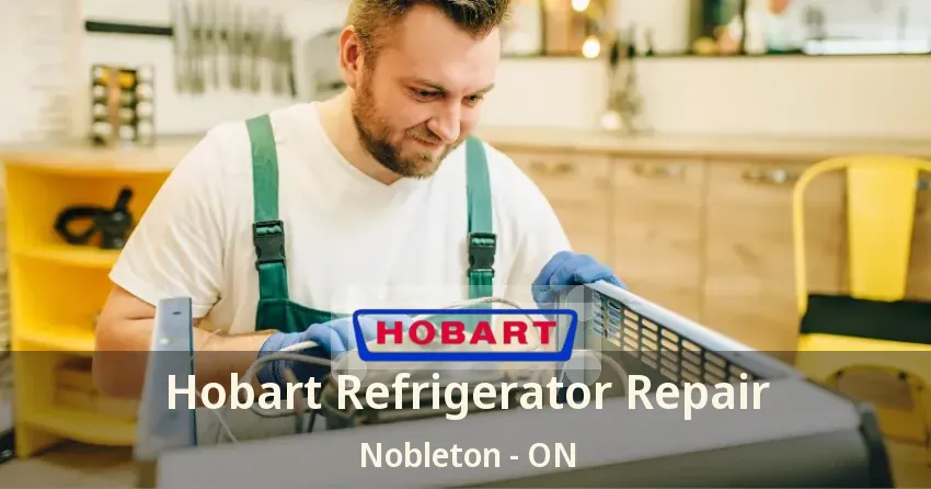 Hobart Refrigerator Repair Nobleton - ON