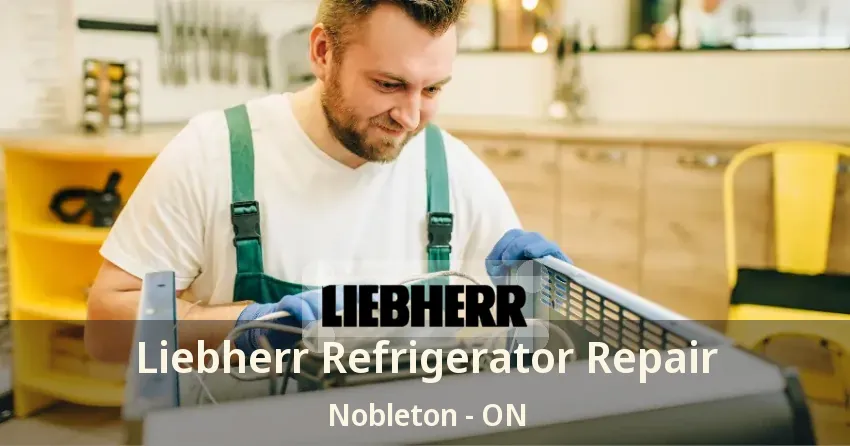 Liebherr Refrigerator Repair Nobleton - ON