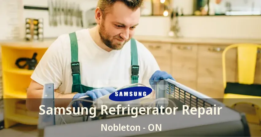Samsung Refrigerator Repair Nobleton - ON