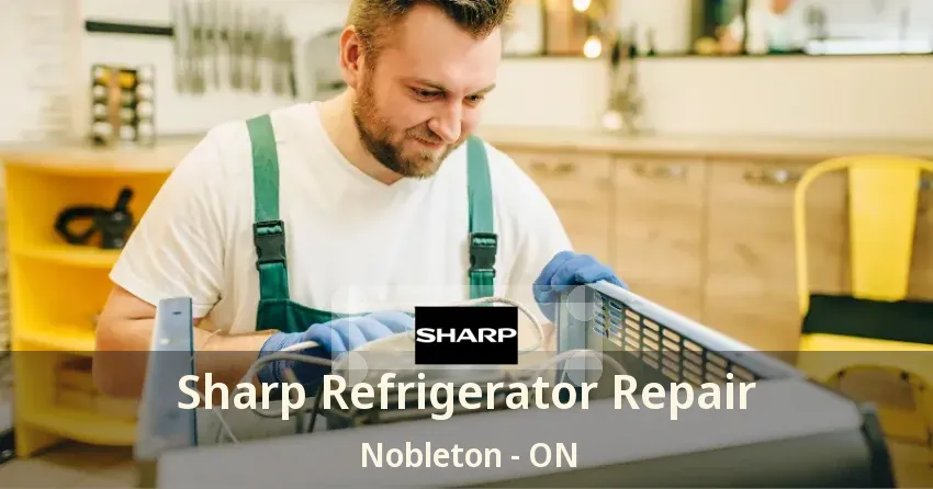 Sharp Refrigerator Repair Nobleton - ON