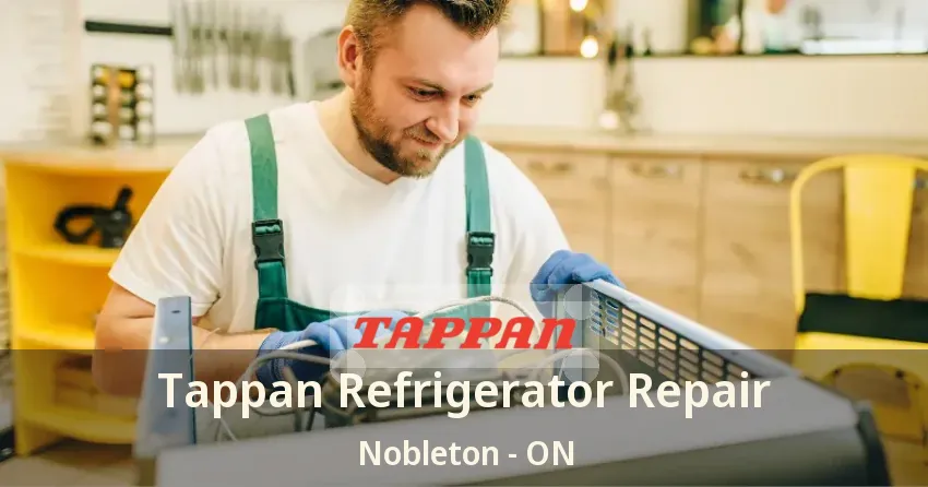 Tappan Refrigerator Repair Nobleton - ON