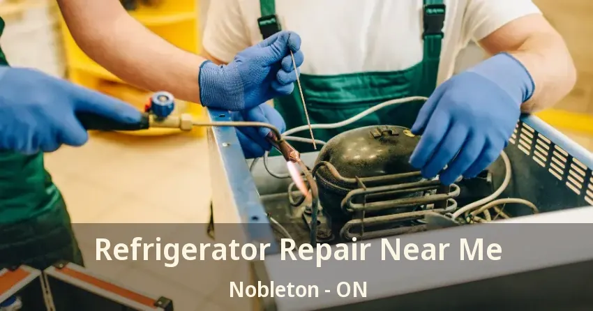 Refrigerator Repair Near Me Nobleton - ON
