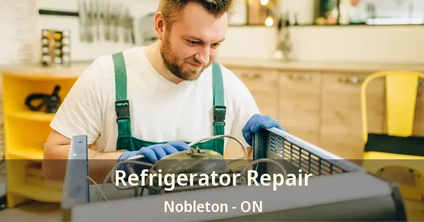 Refrigerator Repair Nobleton - ON