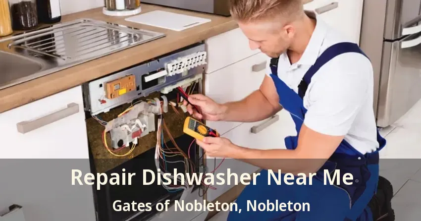 Repair Dishwasher Near Me Gates of Nobleton, Nobleton - ON