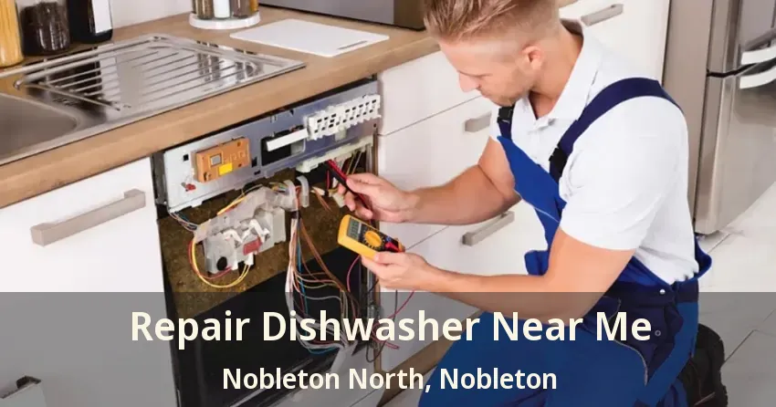 Repair Dishwasher Near Me Nobleton North, Nobleton - ON