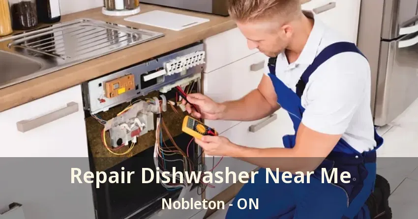 Repair Dishwasher Near Me Nobleton - ON