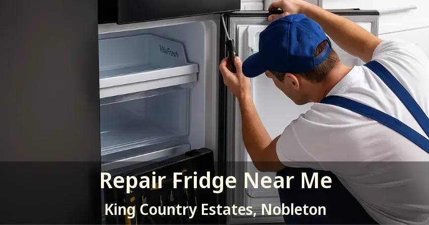 Repair Fridge Near Me King Country Estates, Nobleton - ON