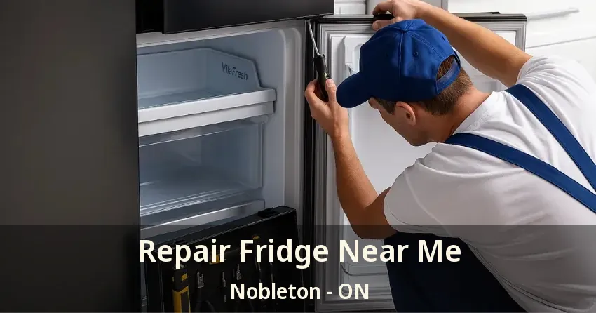 Repair Fridge Near Me Nobleton - ON