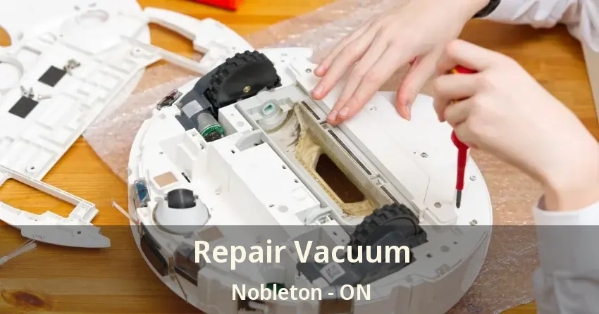 Repair Vacuum Nobleton - ON