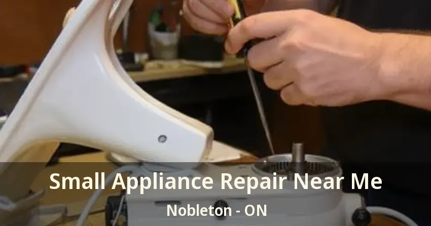 Small Appliance Repair Near Me Nobleton - ON