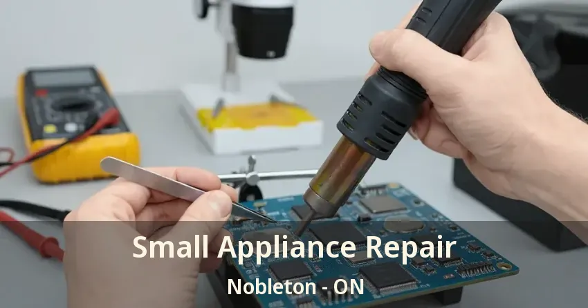 Small Appliance Repair Nobleton - ON