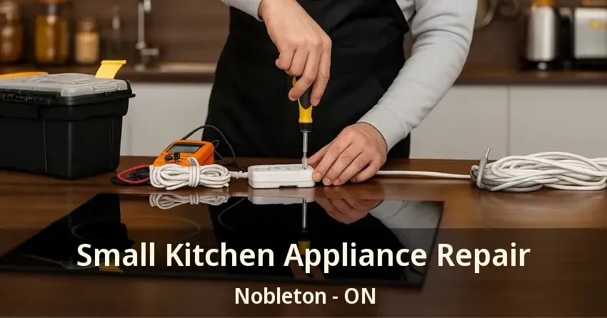 Small Kitchen Appliance Repair Nobleton - ON