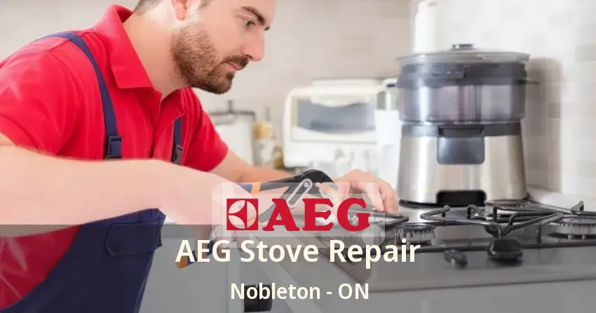 AEG Stove Repair Nobleton - ON