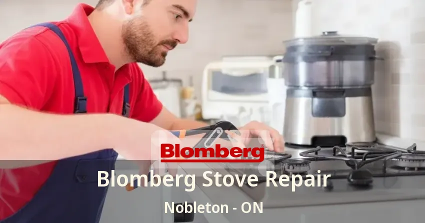 Blomberg Stove Repair Nobleton - ON