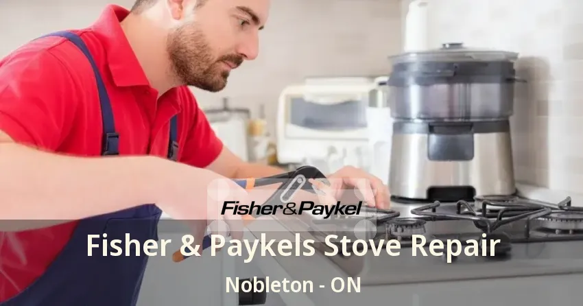 Fisher & Paykels Stove Repair Nobleton - ON
