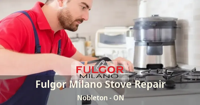 Fulgor Milano Stove Repair Nobleton - ON