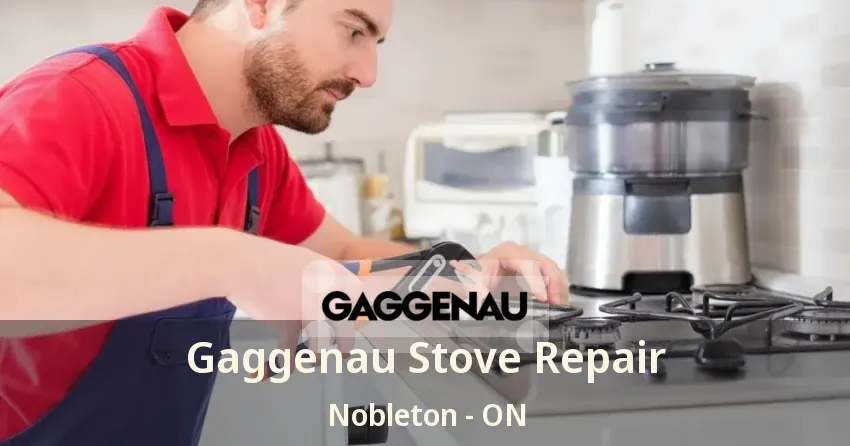 Gaggenau Stove Repair Nobleton - ON