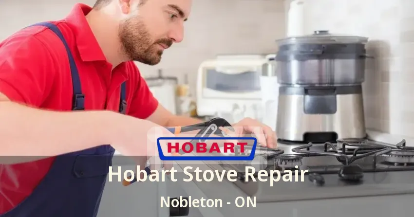 Hobart Stove Repair Nobleton - ON